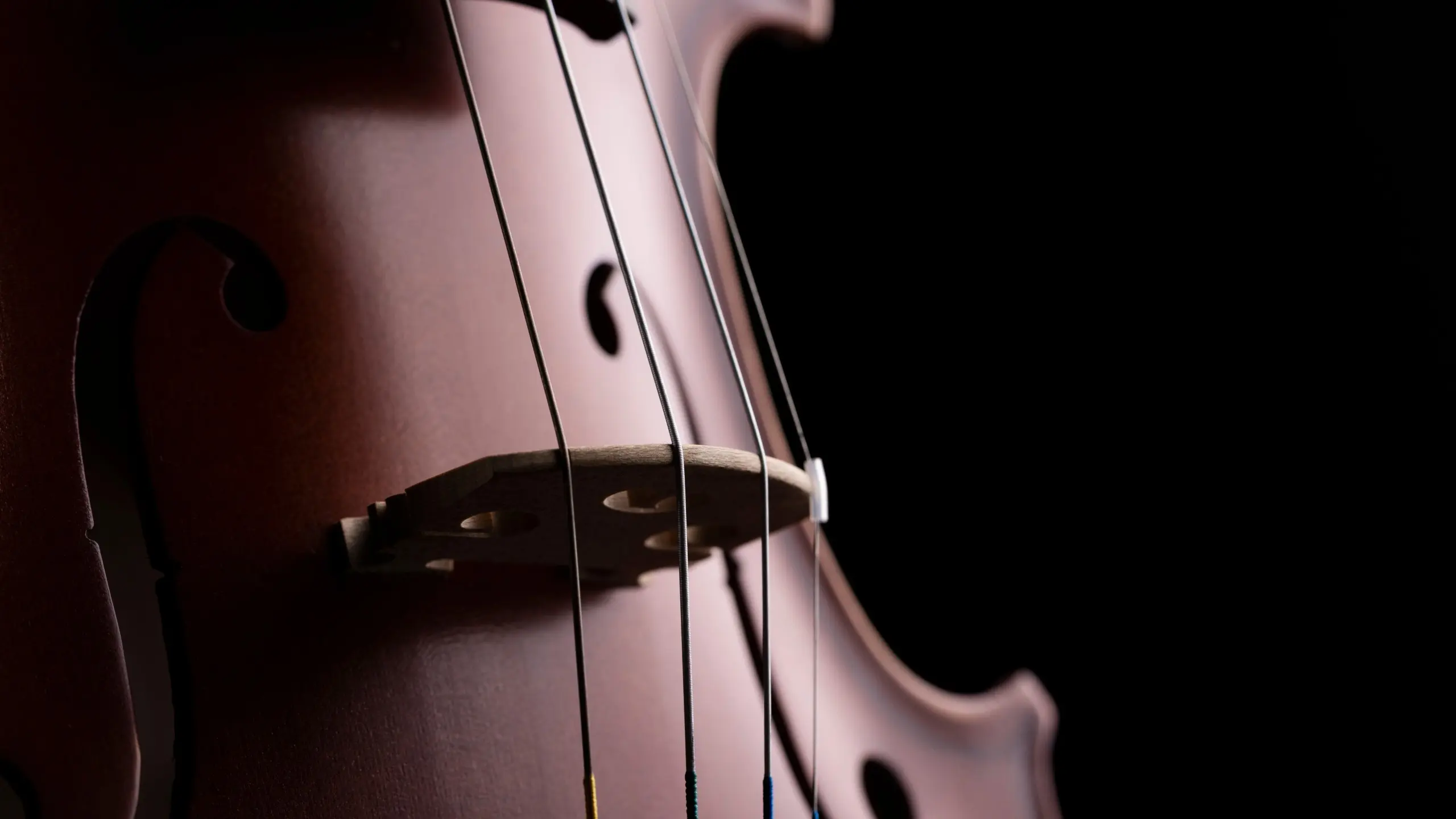 Close-up of a violin scroll and strings